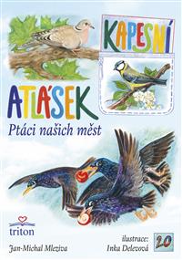 Ptáci našich měst