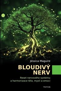 Bloudivý nerv
